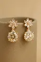 गुलाब सोने के झुमके (1).webp