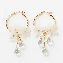 सुनहरी बालियां और क्रिस्टल झुमके.webp