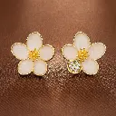 ChatGPT Image Jul 3, 2025, 11_46_02 AM.webp